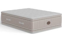 Afternoonified Medium Queen Mattress