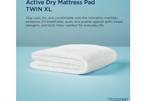 Twin Xl Back To School Bundle-White