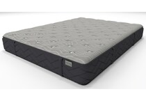Arietta Firm Queen Mattress