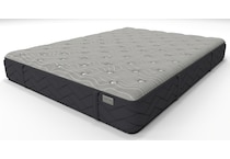 Arietta Firm King Mattress