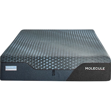 Molecule Engage Pro Medium