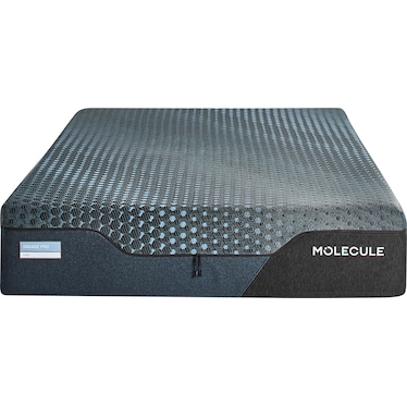 Molecule Engage Pro Plush