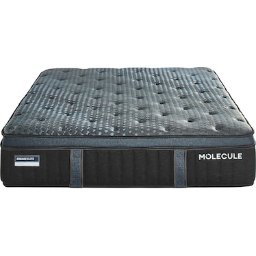 Molecule Engage Elite Luxe