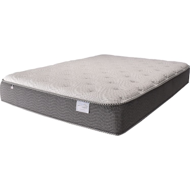 Evolution Plush Queen Mattress
