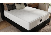 Sunday Morning Plush Queen Mattress