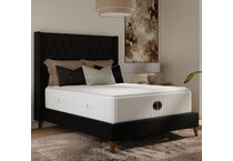 Sunday Morning Plush Queen Mattress