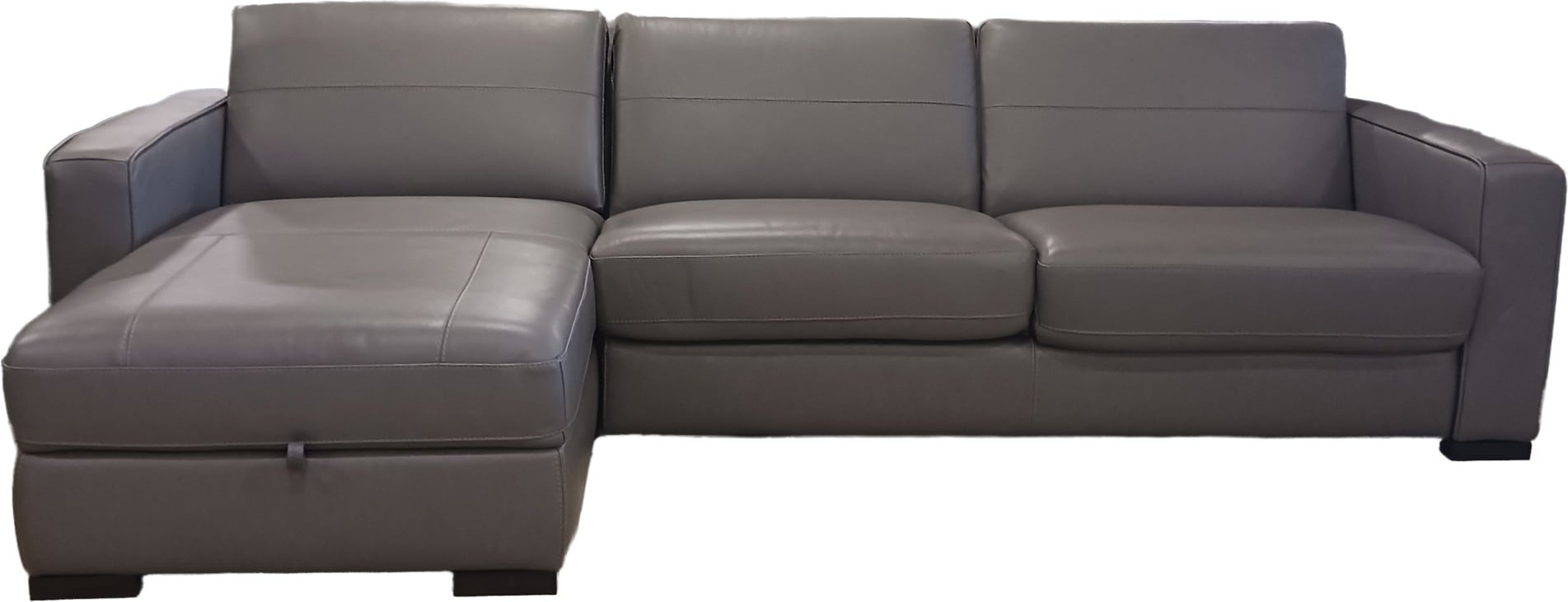 Patricia 2 Piece Sleeper Sectional