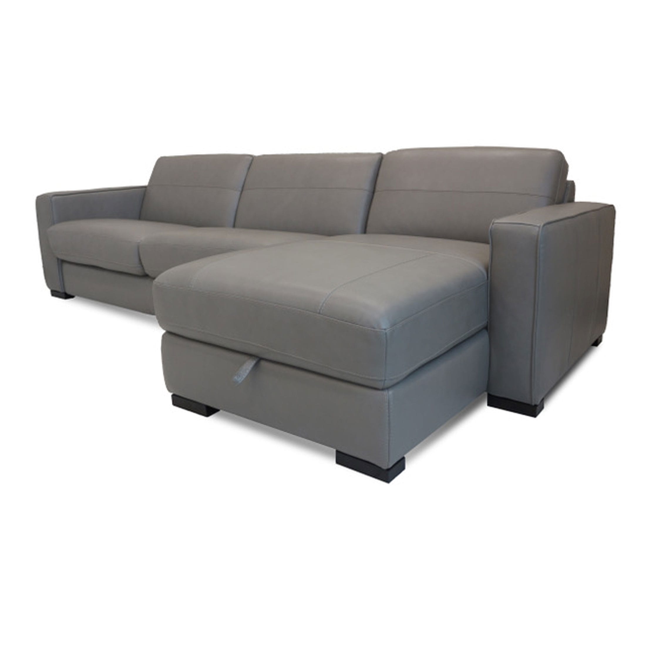 Patricia 2 Piece Sleeper Sectional