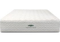 Cypress Plush Queen Mattress