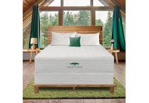 Cypress Plush Split Head King Mattress