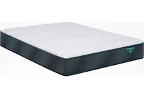 Harmony Plush Cal King Mattress