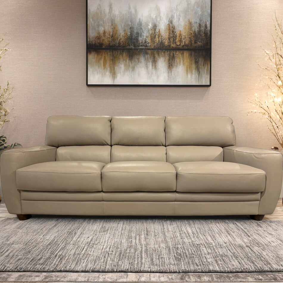  taupe sofa   