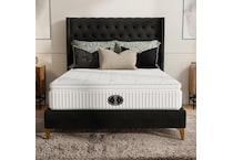 Scenic Route Firm Queen Mattress