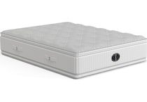 Scenic Route Firm Queen Mattress