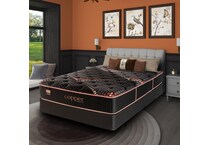  bedding   bunkboards   