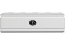 Snow Day Plush Twin Mattress