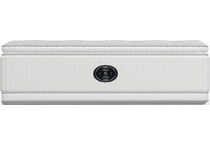 Snow Day Plush Twin XL Mattress