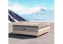 Komplete Max Firm Queen Mattress