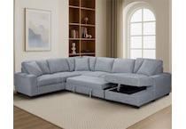  gray sleeper   