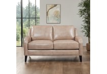  brown loveseat   