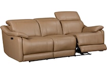  brown sofa   