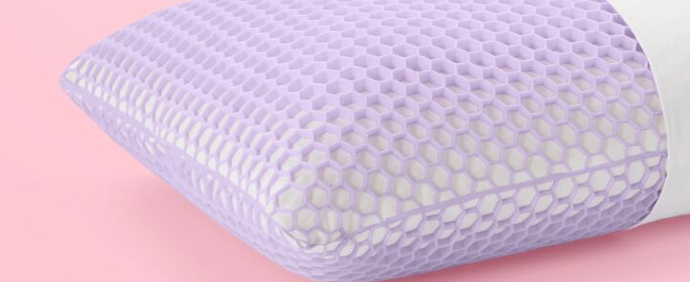 Harmony High Profile Standard Pillow