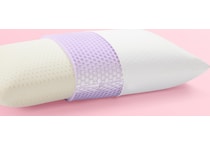 Harmony High Profile Standard Pillow