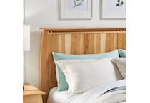  brown master bedroom   