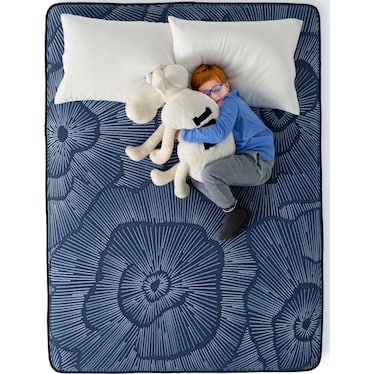 Perfect Sleeper Euphoric Nights Plush Twin XL Mattress