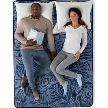 Perfect Sleeper Euphoric Nights Firm King Mattress