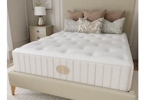 Blush Firm Queen Mattress