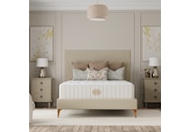 Blush Firm Queen Mattress