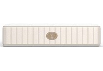 Blush Firm Queen Mattress