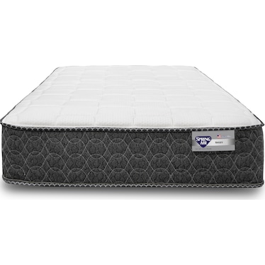 Spring Air Bailey Bed In A Box Firm Tight Top