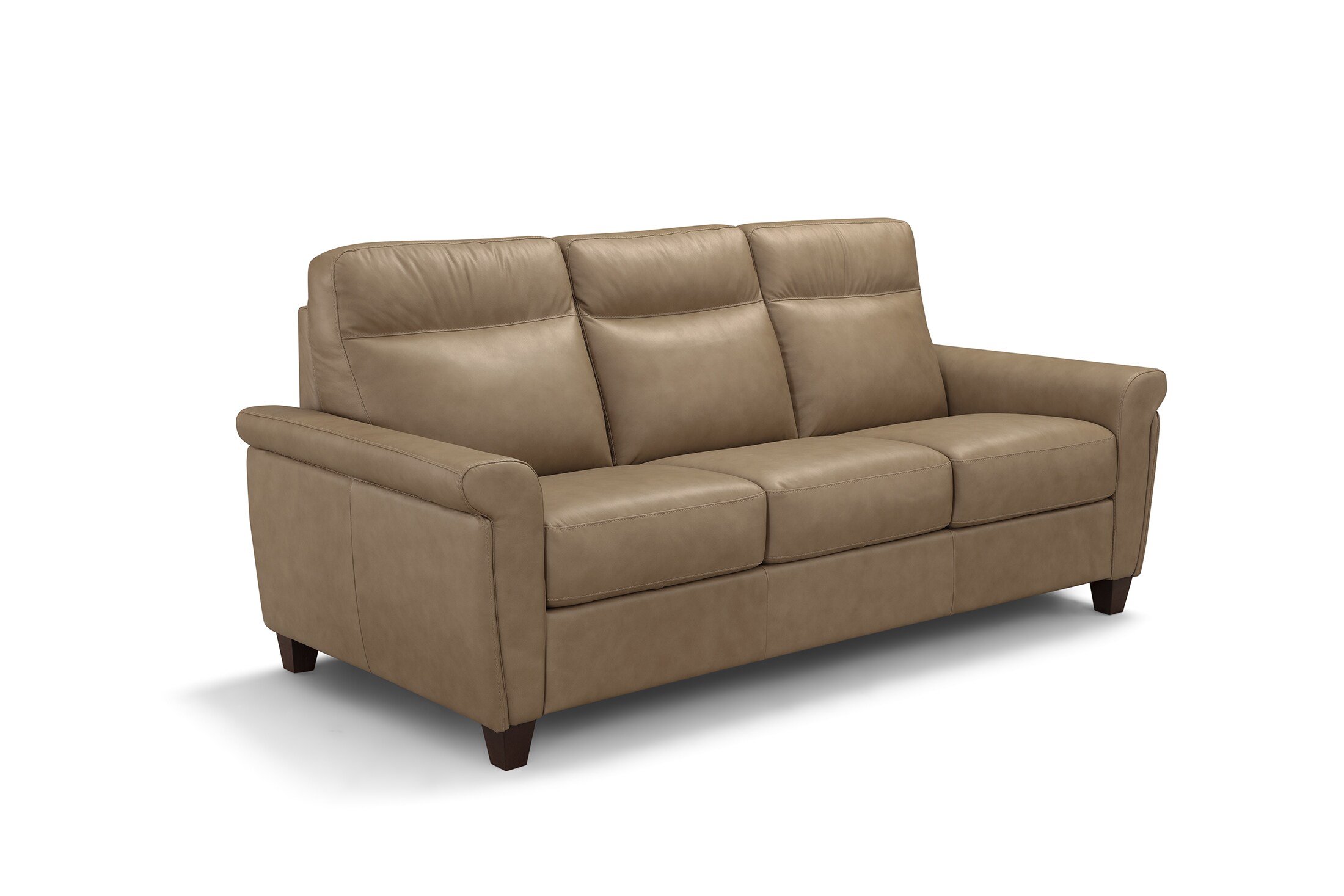 Fernard Medium Queen Sleeper Sofa