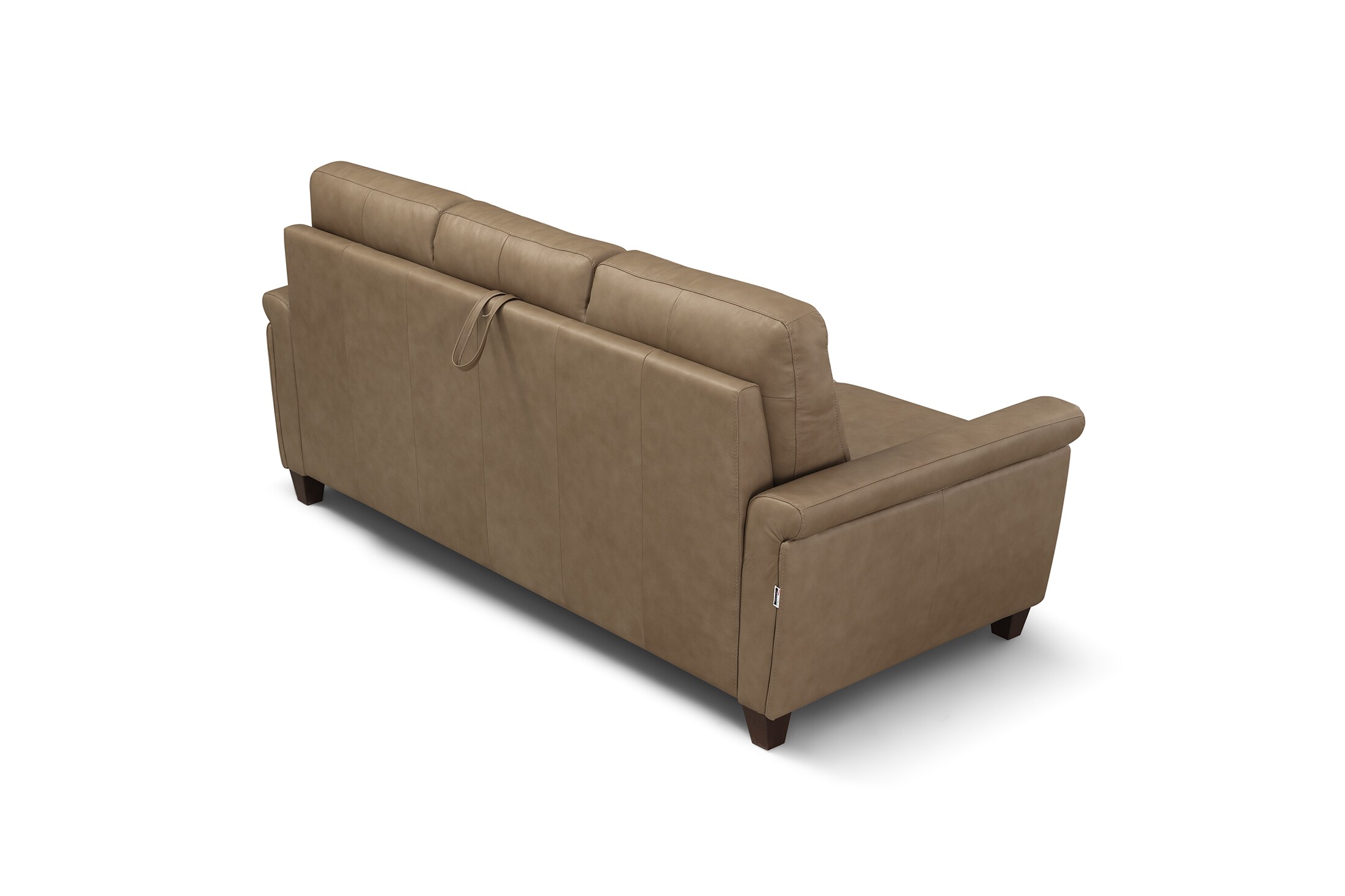 Fernard Medium Queen Sleeper Sofa