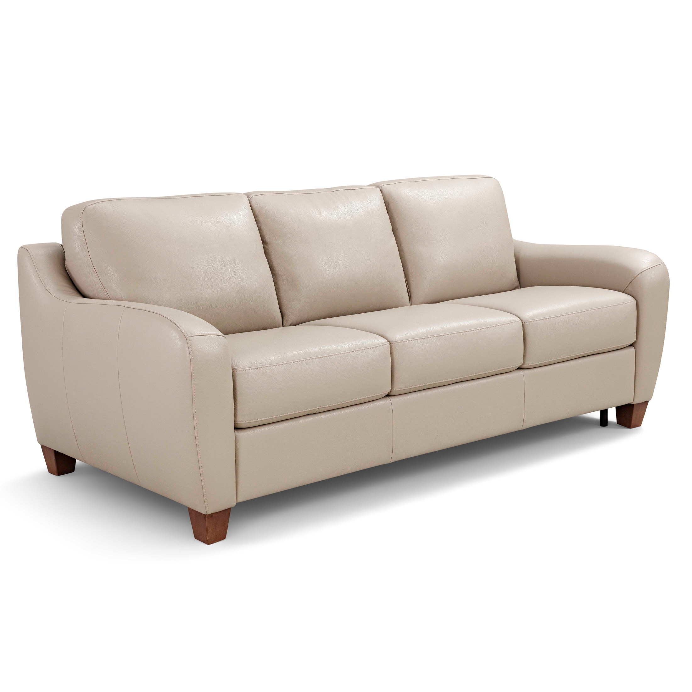Arian Medium Queen Sleeper Sofa