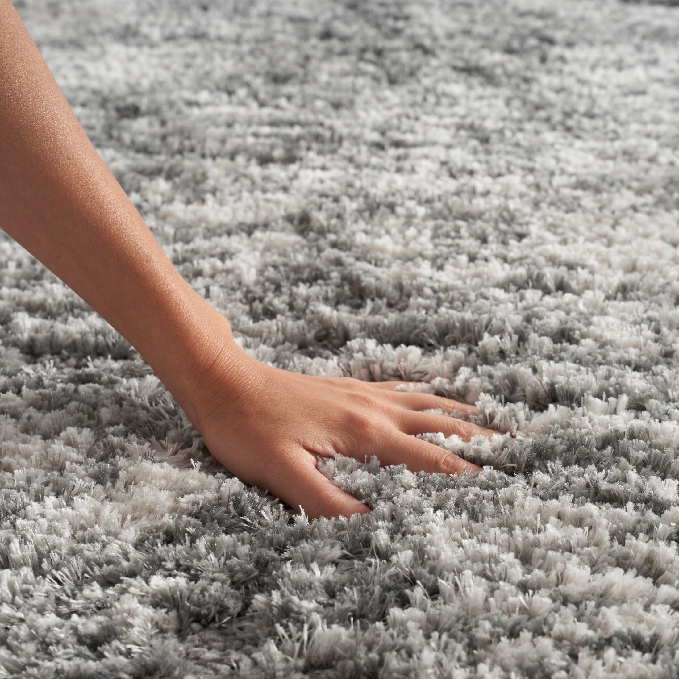 Dreamy Shag Area Rug