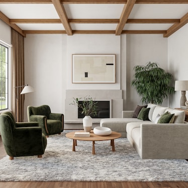 Dreamy Shag Area Rug