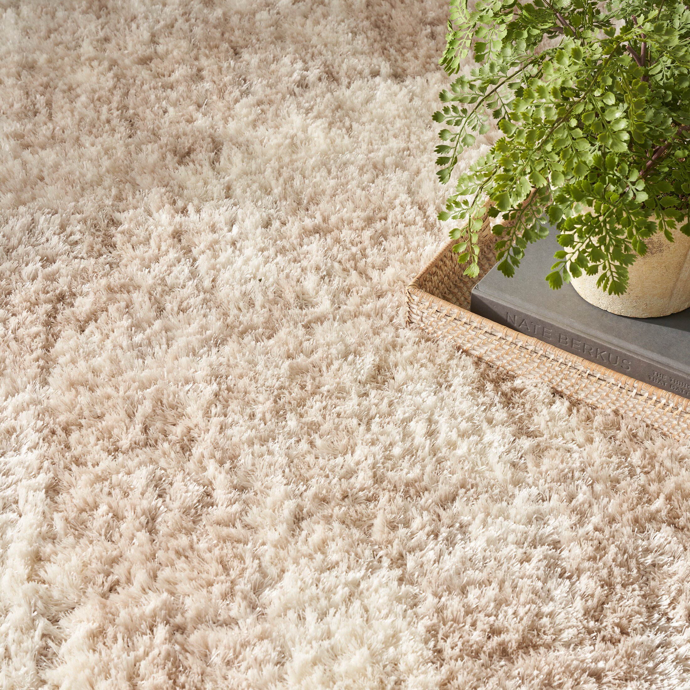 Dreamy Shag Area Rug