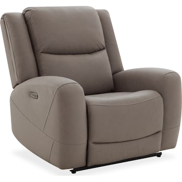 Robin Power Recliner