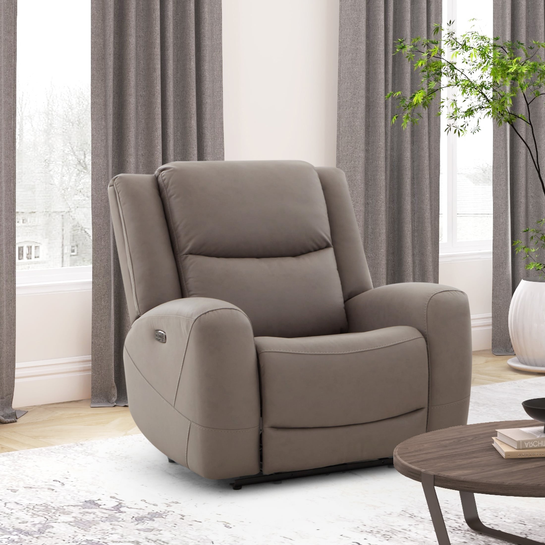 Robin Power Recliner