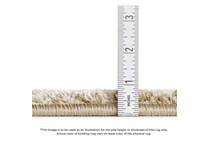  multi rugs   rug pads   