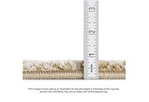  multi rugs   rug pads x  
