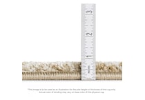 multi rugs   rug pads x  