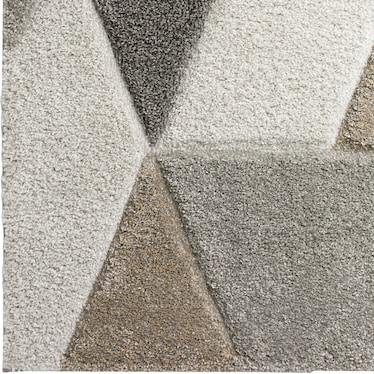 Area Rug