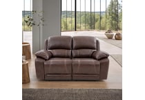 Bullseye Reclining Loveseat