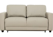  gray full sleeper   
