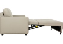  gray full sleeper   