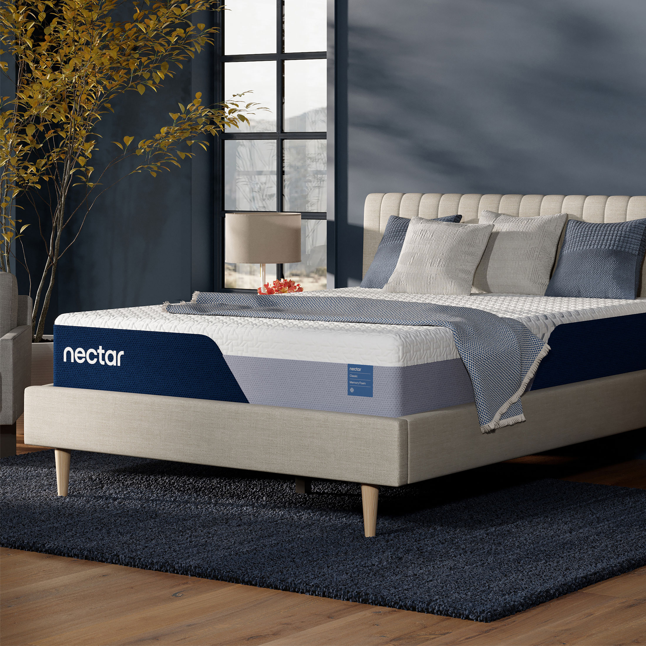 Twin Mattress Cardis
